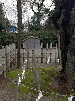 鷲宮神社