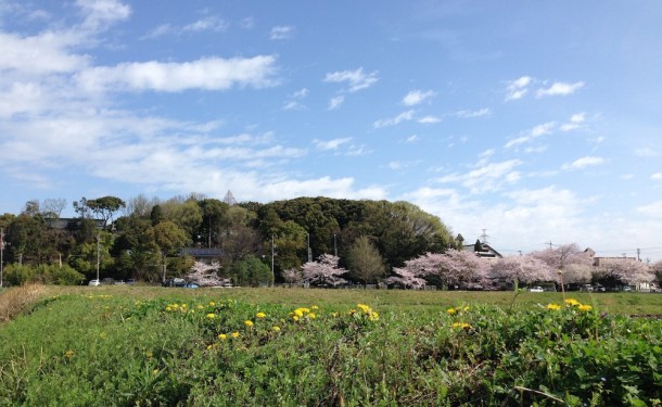 この写真は翌日の晴天時に撮影しました。写真中央のこんもりした古墳の森に白山宮が鎮座されています