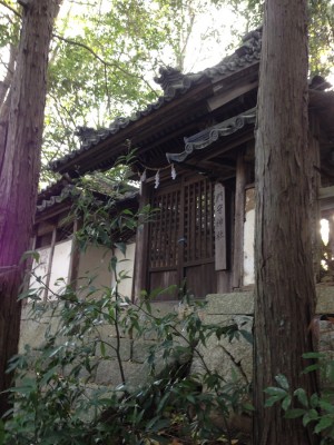 20150418yahashira08b
