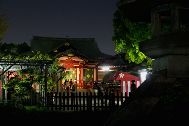 kamedo10